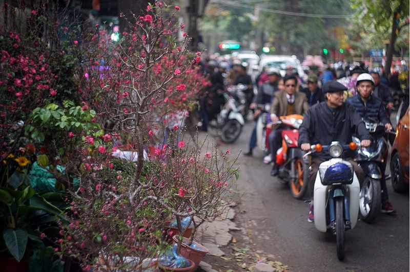 Thời tiết Tết 2024 miền Bắc