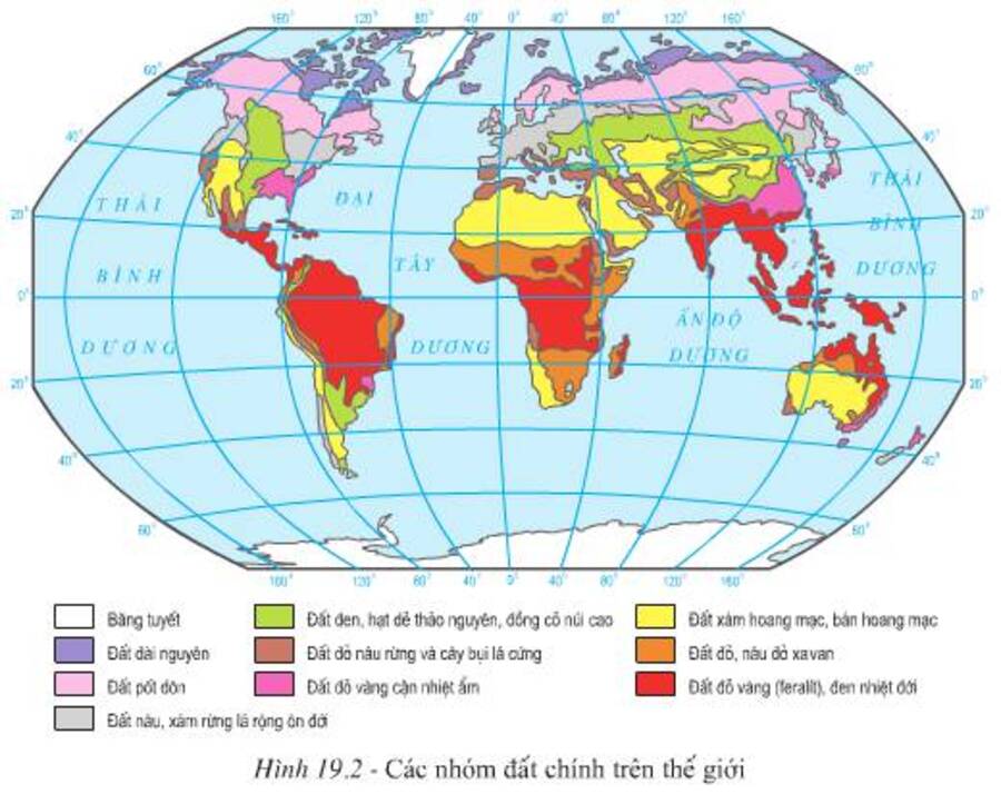 Quy luật địa đới có biểu hiện nào dưới đây? Sự khác nhau giữa quy luật địa đới và quy luật đai cao