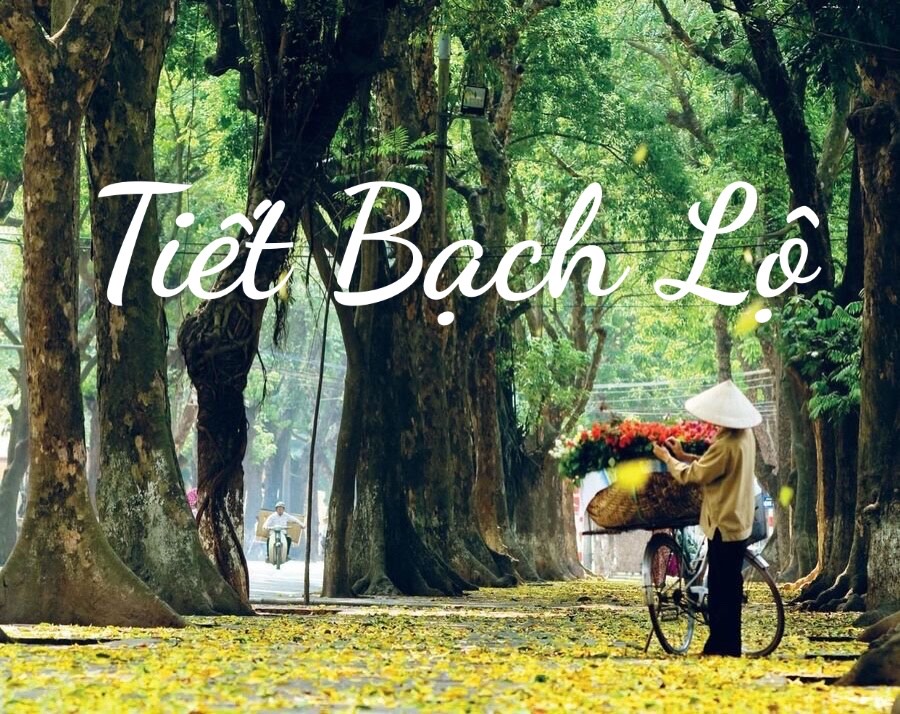 Tiết Bạch Lộ là gì? Nên làm gì vào tiết Bạch Lộ 2023?