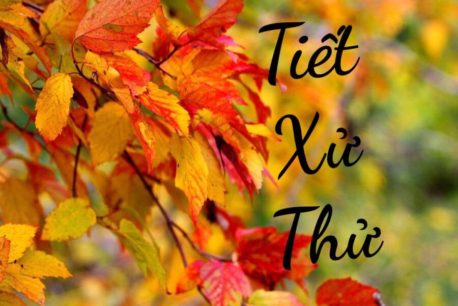 Tiết Xử Thử là gì? Đặc điểm của tiết khí đẹp nhất trong năm