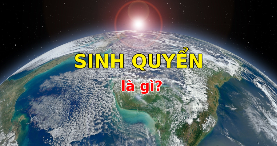 Sinh quyển là gì? Đặc điểm và vai trò của sinh quyển