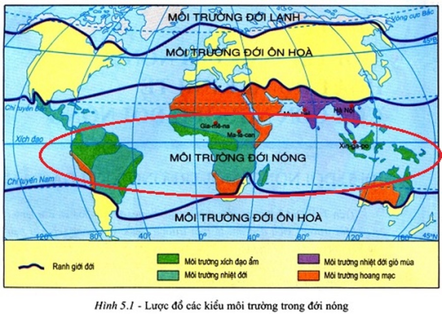 Đặc điểm của môi trường xích đạo ẩm là gì? Phân biệt khí hậu xích đạo ẩm & khí hậu nhiệt đới