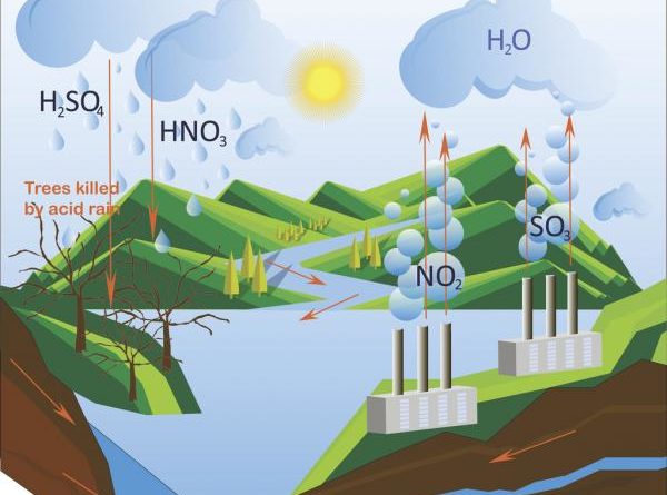 Mưa Axit là gì? Nguyên nhân và hậu quả của Mưa Axit