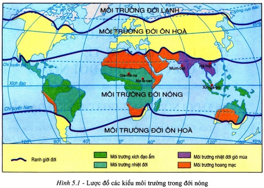 Môi trường nhiệt đới nằm trong khoảng nào? Đặc điểm môi trường nhiệt đới