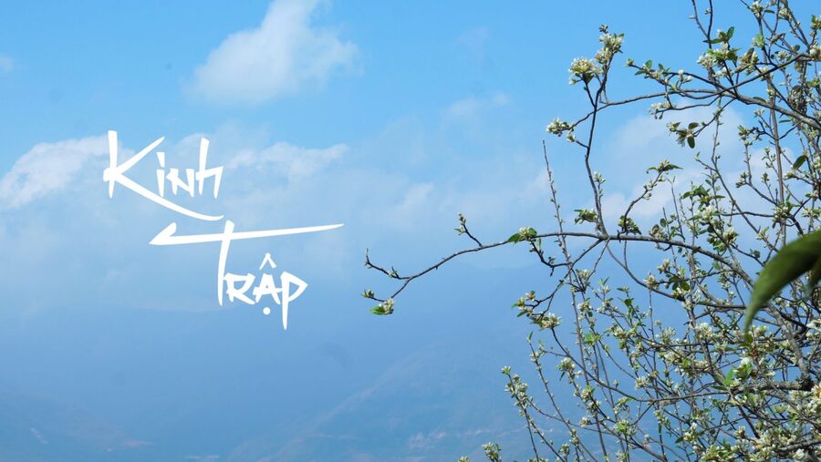 Tiết Kinh Trập là gì? Tiết Kinh Trập 2023 diễn ra vào thời gian nào?