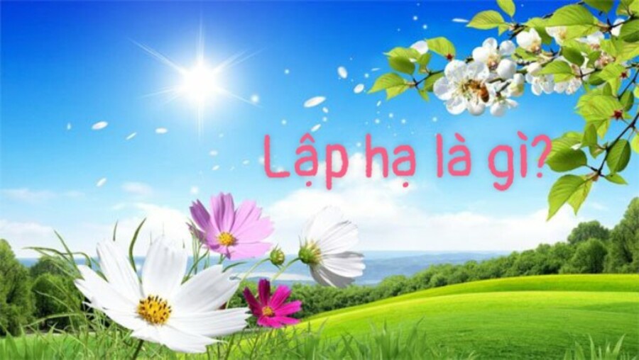Tiết Lập Hạ là gì? Ngày Lập Hạ năm 2023 diễn ra vào ngày nào?