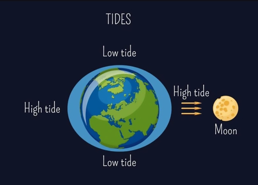 Thủy triều được hình thành do đâu? Tìm hiểu về thủy triều