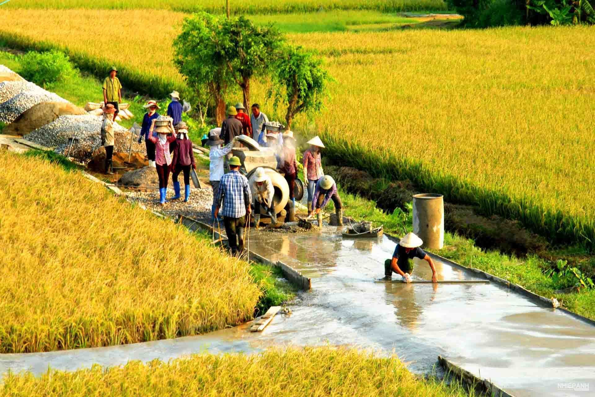 Đồng bằng sông Hồng có nhiều thuận lợi để phát triển lĩnh vực gì?