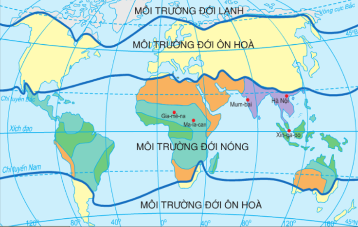 Đới nóng có mấy kiểu môi trường? Đặc điểm của các loại môi trường đới nóng