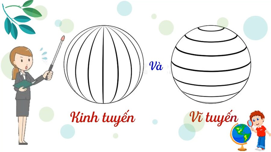 Kinh tuyến là gì? Vĩ tuyến là gì? Sự khác nhau giữa kinh tuyến và vĩ tuyến